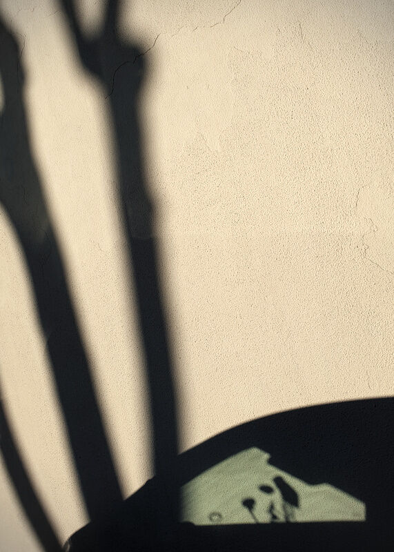 20190316_174120_small.jpg
