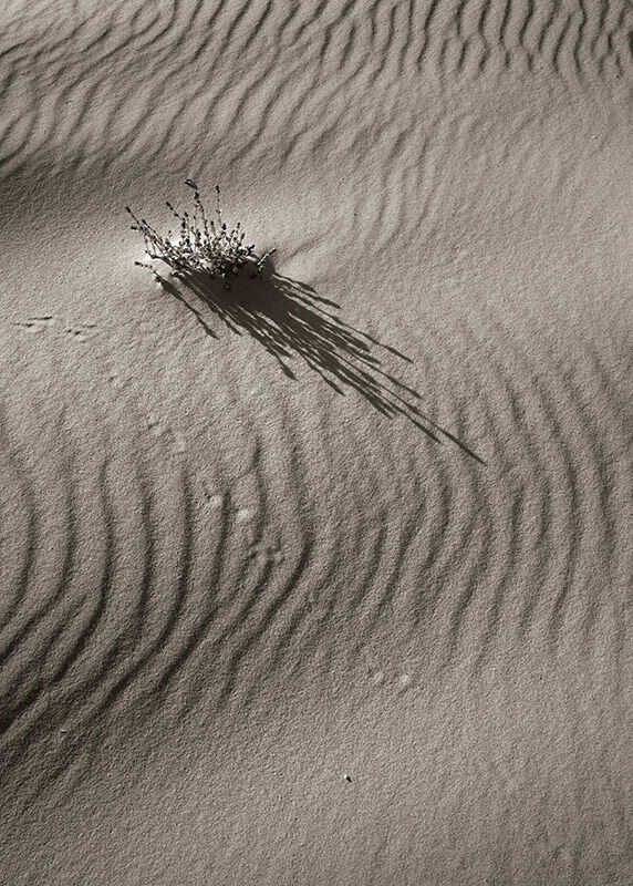 R0016519.jpg